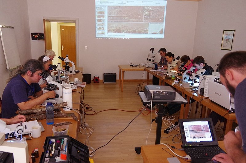 Workshop: beim Mikroskopieren