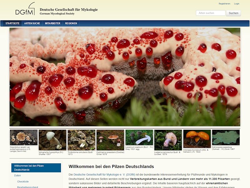 Startseite von www.pilze-deutschland.de
