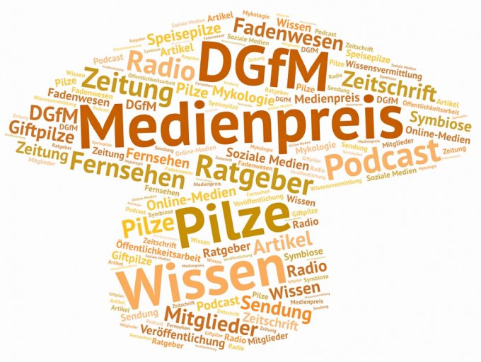 Wortwolke zum Medienpreis der DGfM