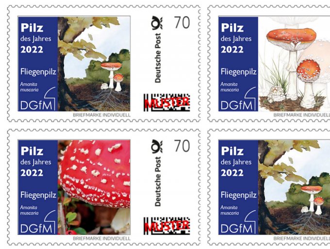 Briefmarken „Pilz des Jahres 2022“ mit drei Fliegenpilzmotiven