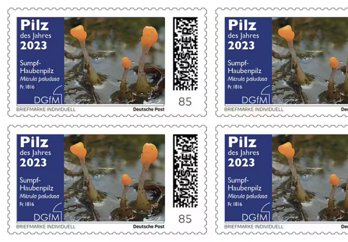 Briefmarke „Pilz des Jahres 2023“ mit dem Sumpf-Haubenpilz