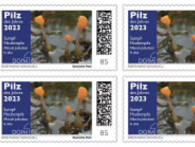 Briefmarke „Pilz des Jahres 2023“ mit dem Sumpf-Haubenpilz