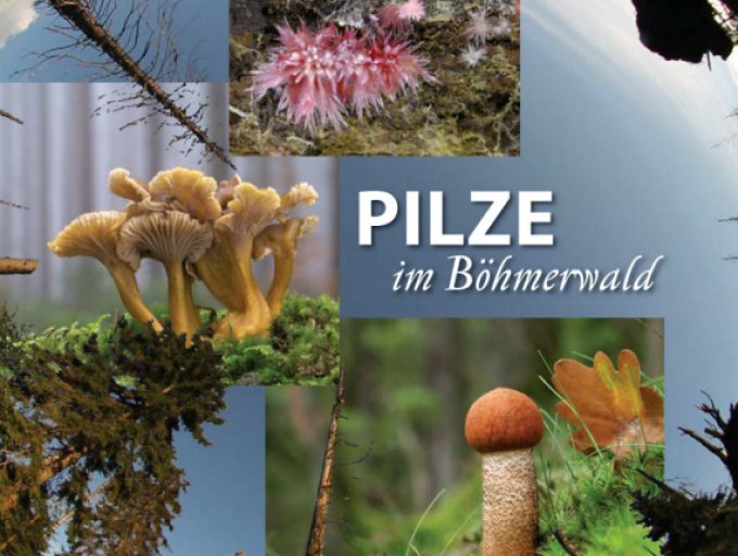Vorderseite der Broschüre „Pilze im Böhmerwald“