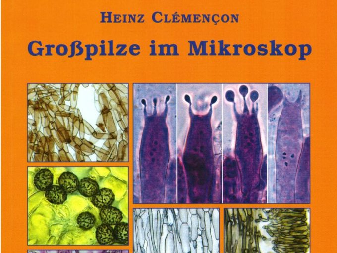 Cover: Heinz Clémençon (2012) Großpilze im Mikroskop. Beiheft Z. Mykol. 12