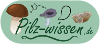 Banner Pilz-Wissen.de