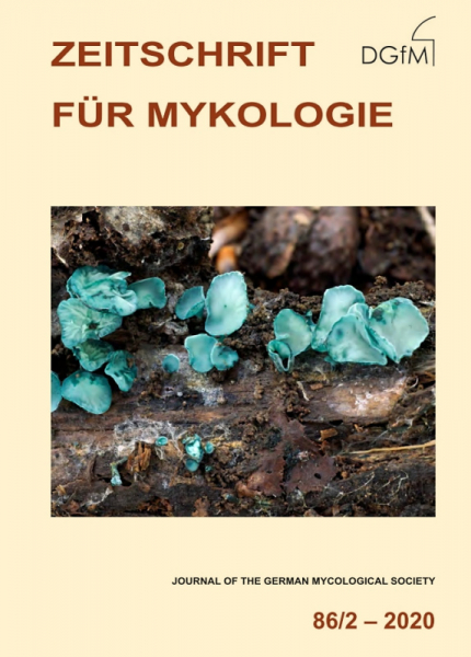Titelbild von Heft 86/2 (2020) der Zeitschrift für Mykologie mit Chlorociboria aeruginascens
