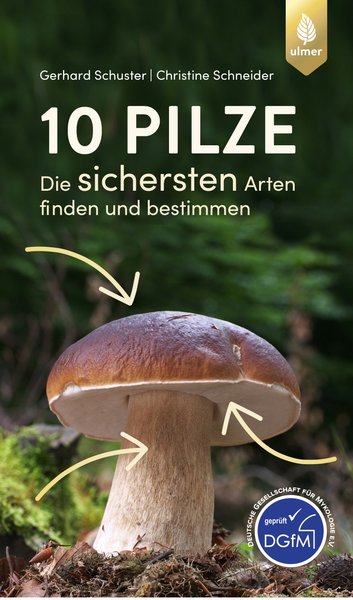 Muster: DGfM-Gütesiegel vorne auf dem Einsteiger-Pilzbuch „10 Pilze“ von Schuster & Schneider (2018)
