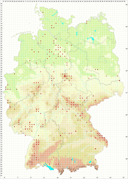 Verbreitung des Sumpf-Haubenpilzes in Deutschland (Stand 7.10.2021)
