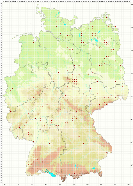Die Verbreitungskarte von Hericium erinaceus auf www.pilze-deutschland.de zeigt etwa 310 Fundpunkte. (Stand 20.9.2025)