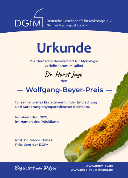 Design der Urkunde zum Wolfgang-Beyer-Preis 2021