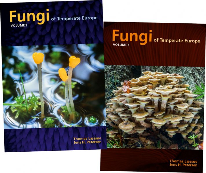 Das 2-bändige, englischsprachige Werk „Fungi of Temperate Europe“ ist jetzt im Handel erhältlich.