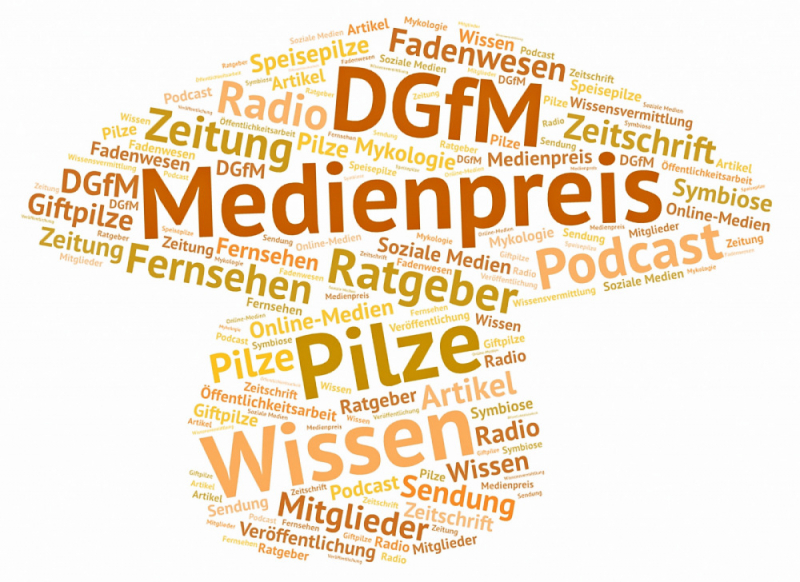 Die DGfM ehrt mit dem Medienpreis die Autorinnen und Autoren besonders gelungener Veröffentlichungen.