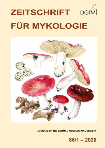 Titelbild von Heft 86/1 (2020) der Zeitschrift für Mykologie mit Russula tinctipes