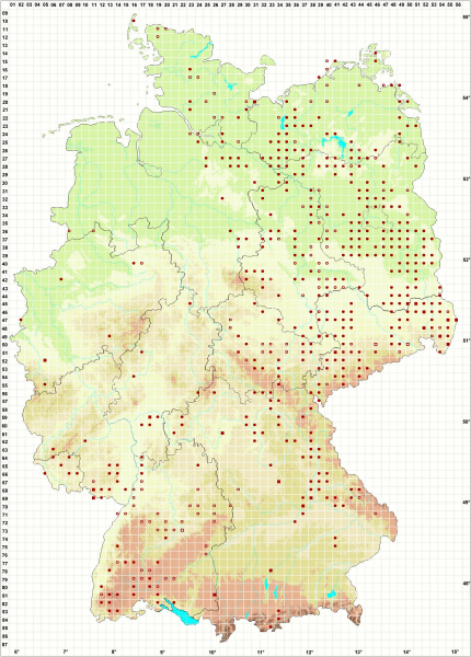 Verbreitung des Grünlings in Deutschland (Stand 14.10.2020)