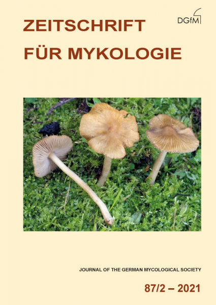 Titelbild von Heft 87/2 (2021) der Zeitschrift für Mykologie mit Inocybe blandula