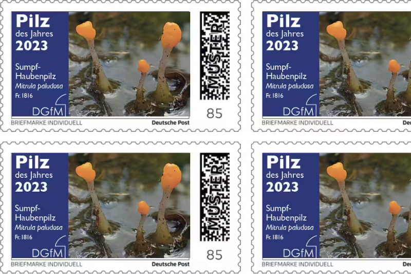 Briefmarken „Pilz des Jahres 2022“ mit dem Sumpf-Haubenpilz (Bildausschnitt)
