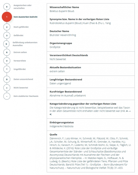 Gefährdungsstatus des Blutroten Hexenröhrlings (Boletus dupainii)