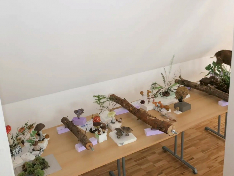 Weitere Pilzmodelle & Co zum Ausstellen