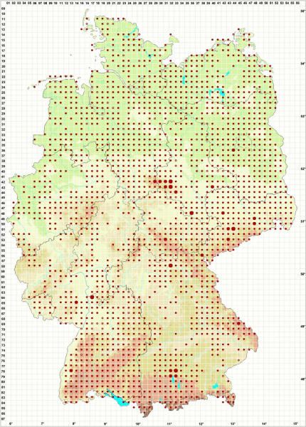Verbreitung des Fliegenpilzes in Deutschland (Stand 20.6.2021)