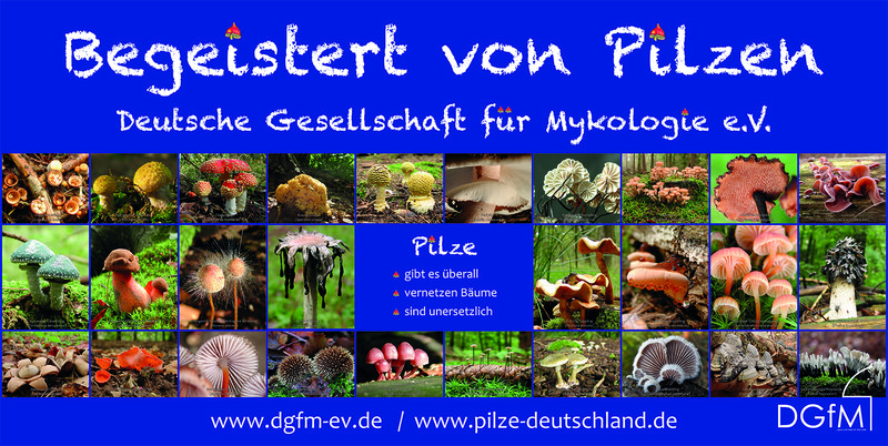 Pilzbanner auf Plane „Begeistert von Pilzen“, CMYK-Druckfarben