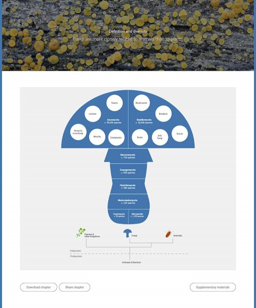 Der Abschnitt „Definition and diversity“ auf stateoftheworldsfungi.org