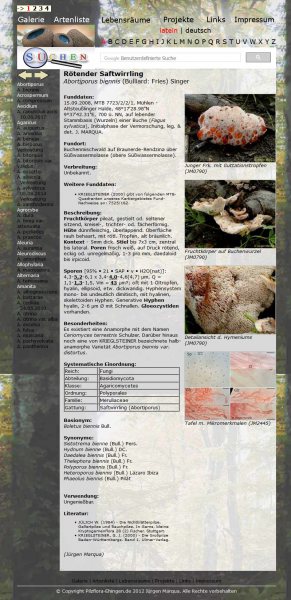 Rötender Saftwirrling (Abortiporus biennis) auf der Website der „Ehinger Pilzflora“ | Porträt: Jürgen Marqua