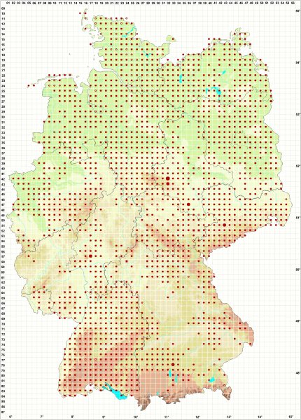 Verbreitung der Gewöhnlichen Stinkmorchel in Deutschland (Stand 5.10.2019)