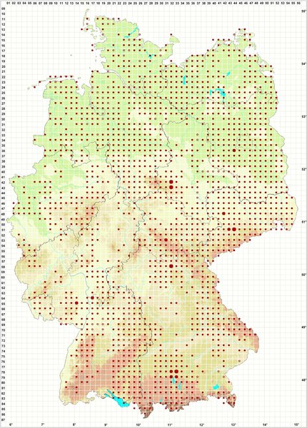 Die Verbreitung des Fliegenpilzes in Deutschland auf einer Karte