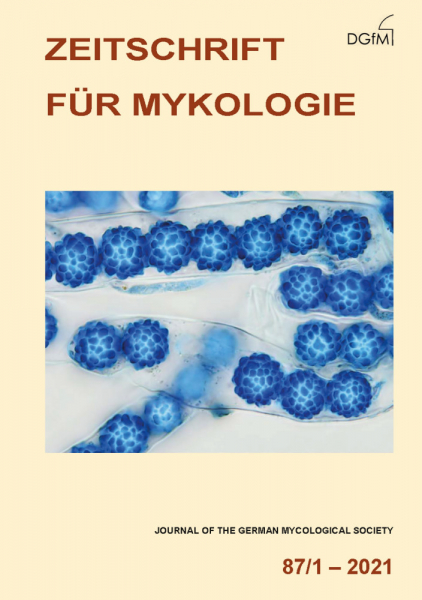 Titelbild von Heft 87/1 (2021) der Zeitschrift für Mykologie mit Sporen von Lamprospora esterlechnerae