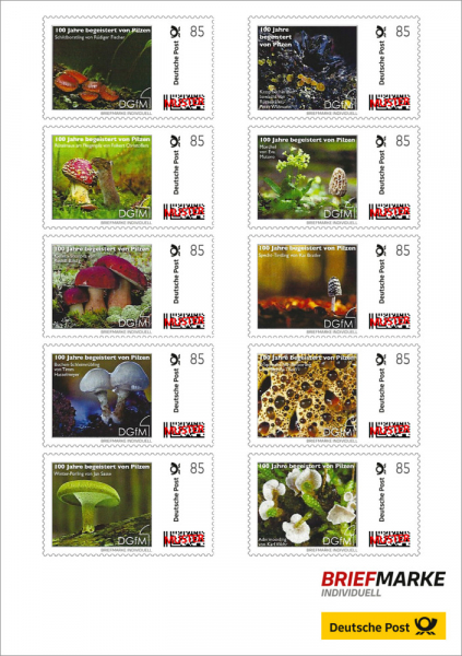10er-Bogen Briefmarken „100 Jahre DGfM“