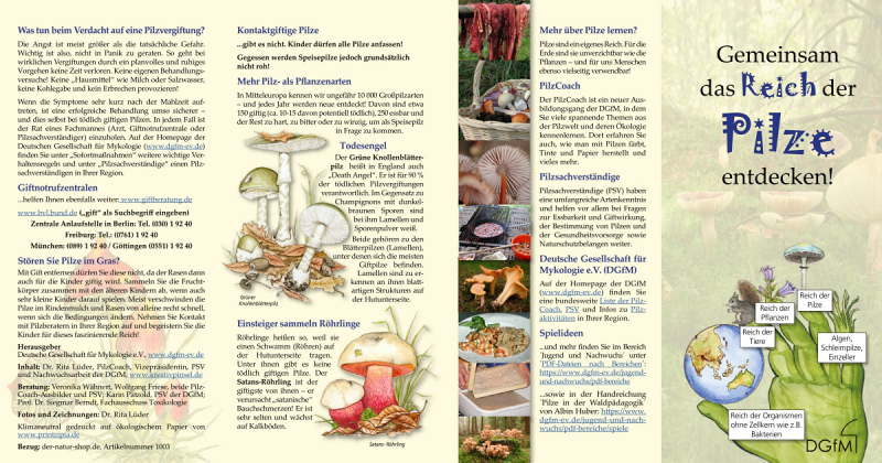 Flyer „Gemeinsam das Reich der Pilze entdecken“ – Seite 1