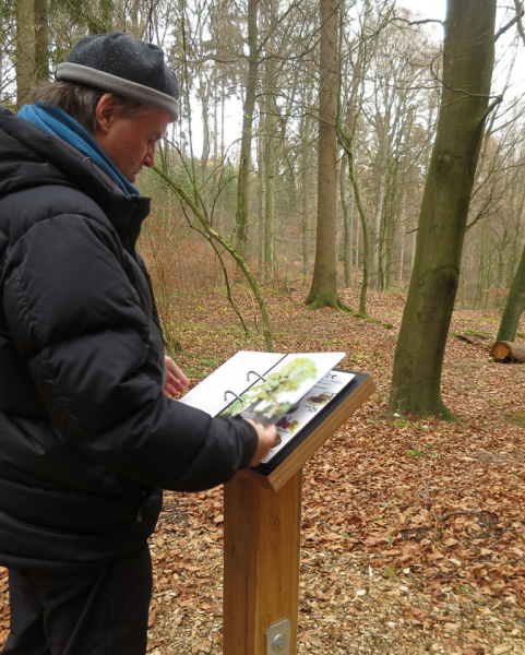 Station des Waldlehrpfads auf dem Deister mit einem witterungsbeständigen „Outdoor-Pilzbuch“