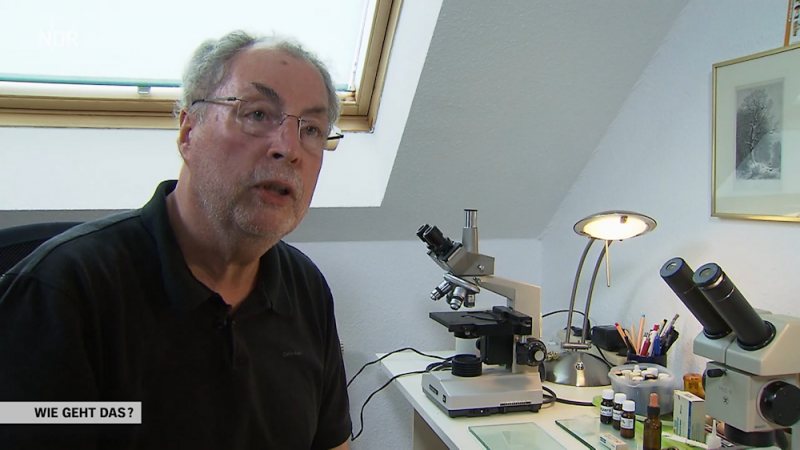 Anderssons Arbeitsplatz mit Mikroskop zur Bestimmung von Pilzresten
